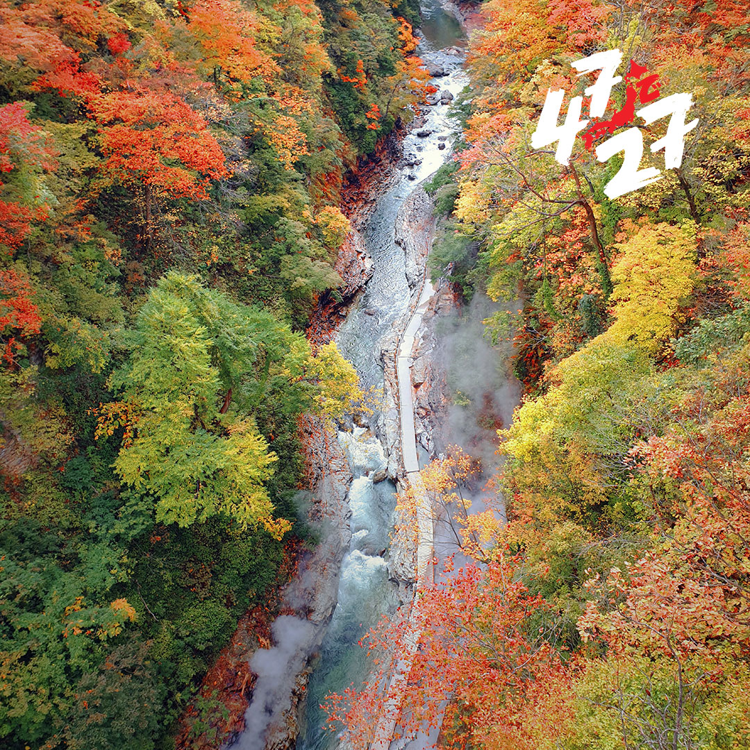 Tohoku Region